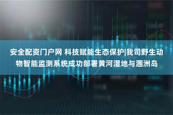 安全配资门户网 科技赋能生态保护|我司野生动物智能监测系统成功部署黄河湿地与涠洲岛